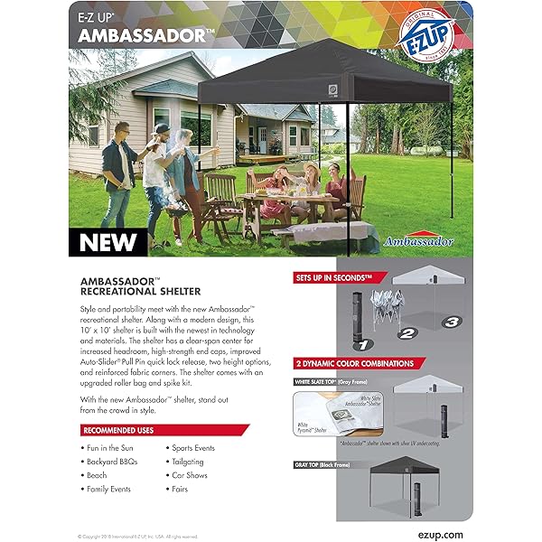 Toldo de Refugio instantáneo, 10 x 10 pies, Bolsa de Rodillo y Juego de 4 Pinchos, Pizarra Blanca Blanco pizarra Toldo de refugio