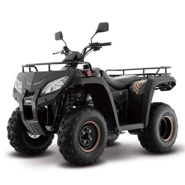 Cuatrimoto Italika ATV250 Negra 2026