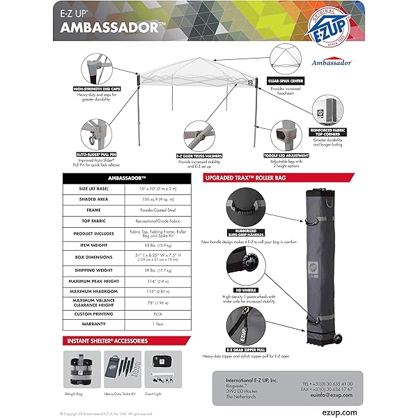 Toldo de Refugio instantáneo, 10 x 10 pies, Bolsa de Rodillo y Juego de 4 Pinchos, Pizarra Blanca Blanco pizarra Toldo de refugio