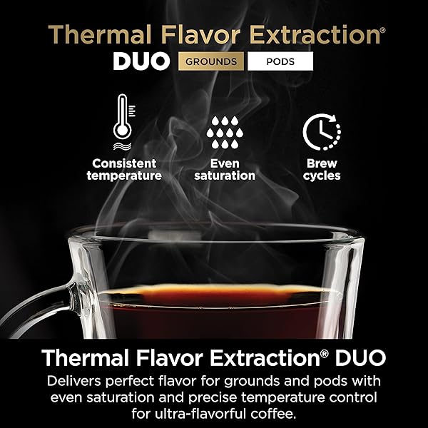 Cafetera de especialidad para 12 tazas Pro - CFP301 Moderno