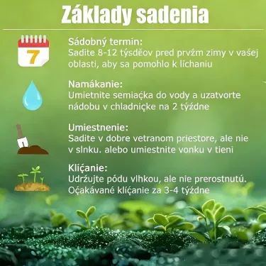 🌈 Semienka Rainbow Haze – Vneste do svojej záhrady kúzlo a farby ✨