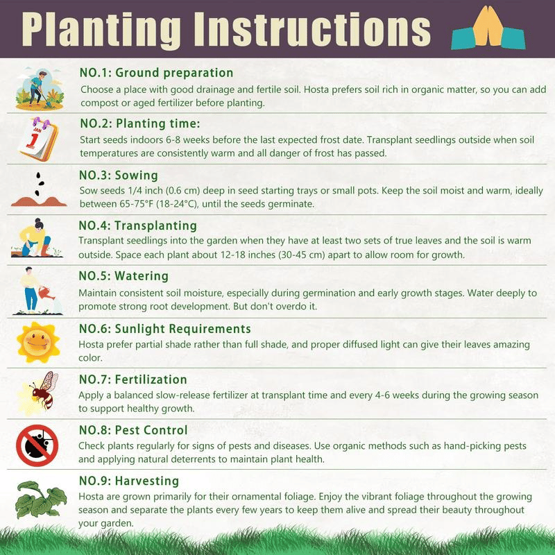 🌿 Vzácne semená hosty 🎁 Špeciálna ponuka 2026