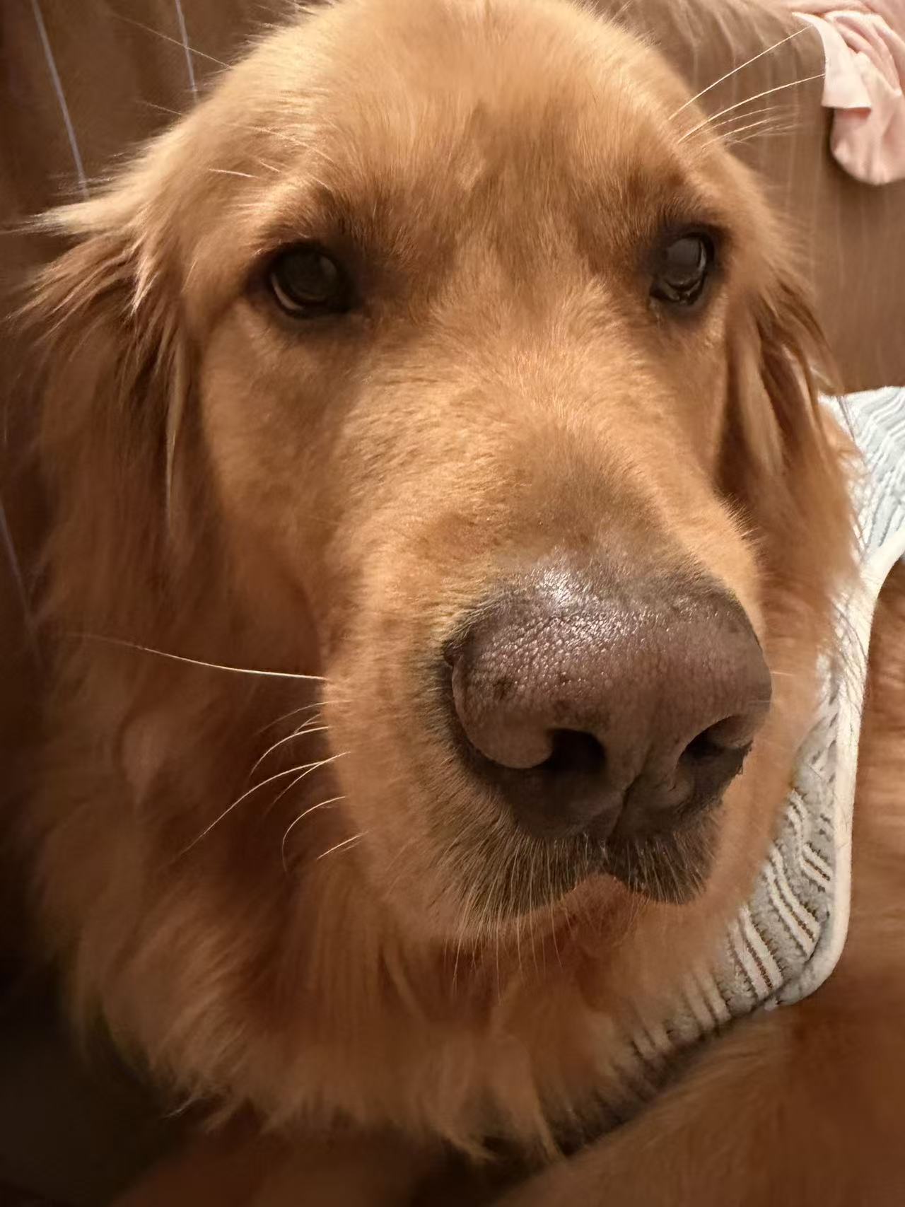 tia 5.24