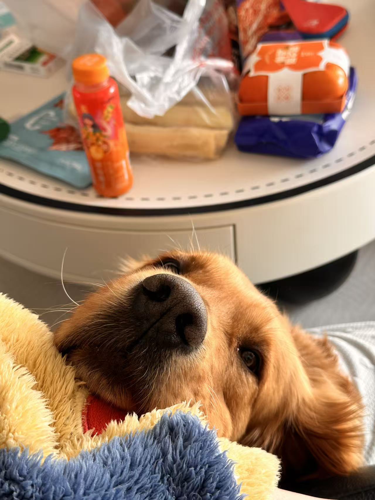 DIY