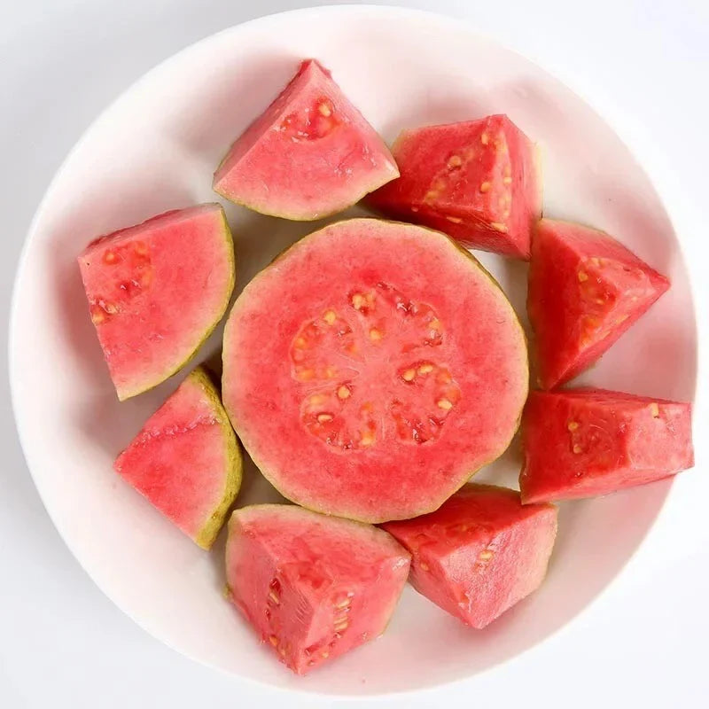  Tropické jahodové guava – organické semená ružovej guavy