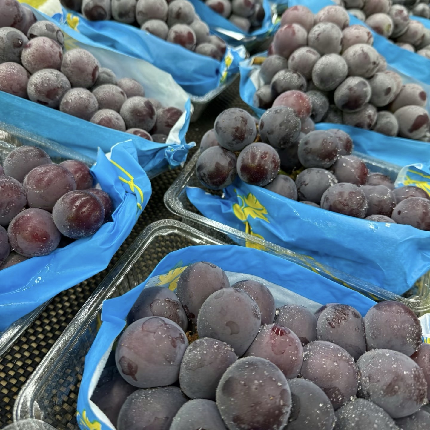 🍇Horúci výpredaj - hroznové semienka PingPong🎆