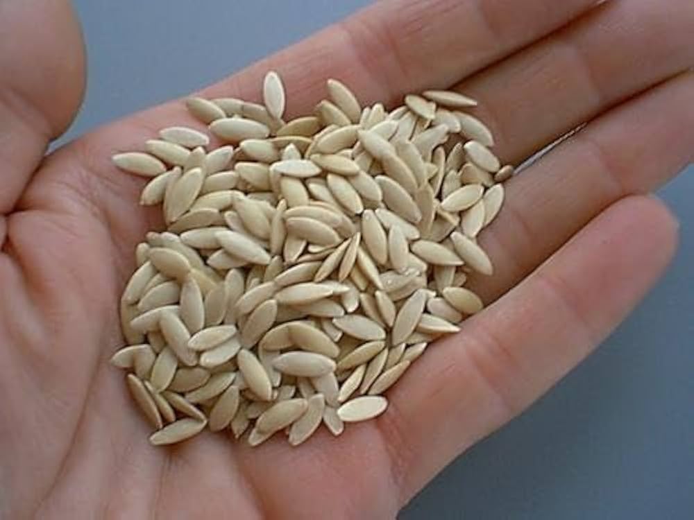 Uhorka - Zlatý chlapec, Uhorka Lady