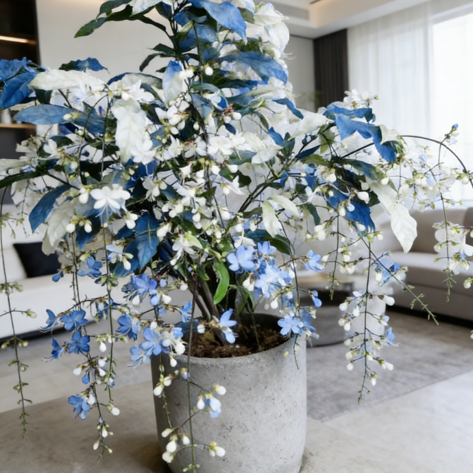 🔥50% zľava len dnes🌸 Semienka plačúceho jazmínu🌸