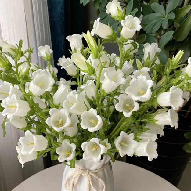 Farebné krištáľové semená konvalinky - Kúzlo čarovnej záhrady💐💑