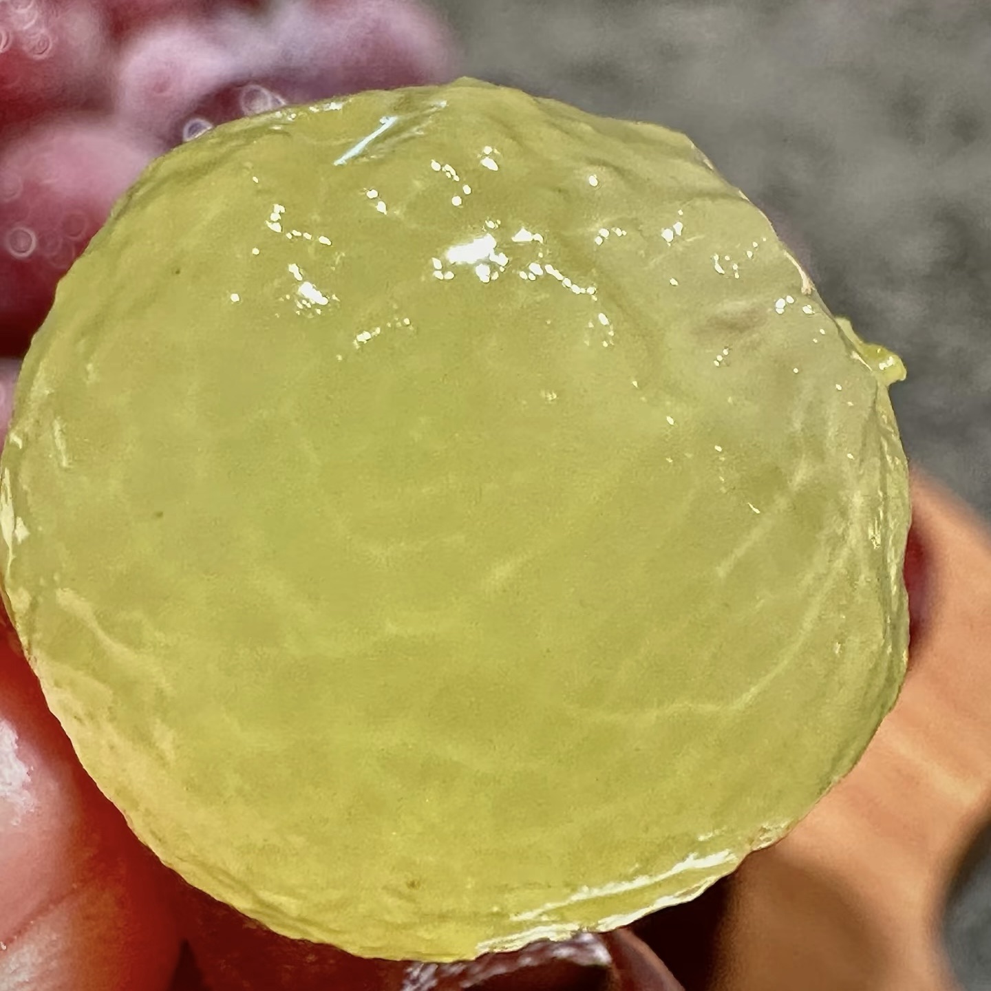 🍇Horúci výpredaj - hroznové semienka PingPong🎆