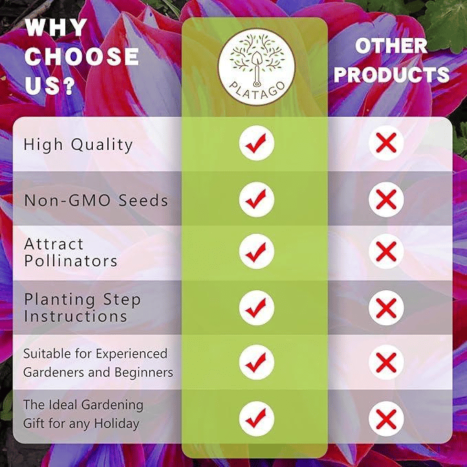 🌱 Hostiteľsky jednoduché Caladium – krásne listy bez námahy!🌈