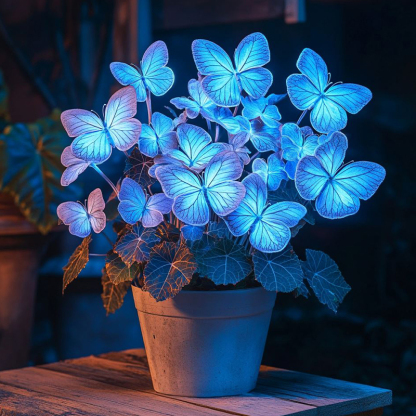 🦋Лунна пеперуда Бегония семе
