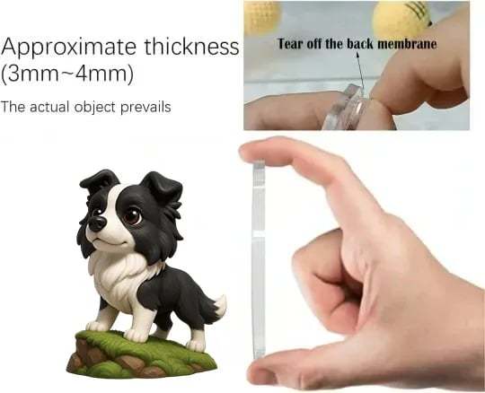 🐾Адвент календар за бордър коли 2025