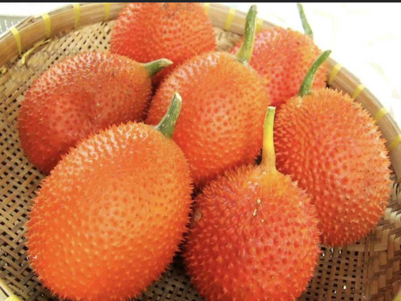 Gac fruit seeds, Gac Melon Vine Momordica Cochinchinensis seeds