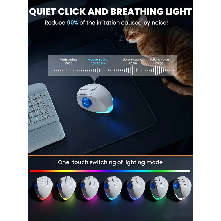 Souris trackball ergonomique sans fil rechargeable silencieuse – blanc