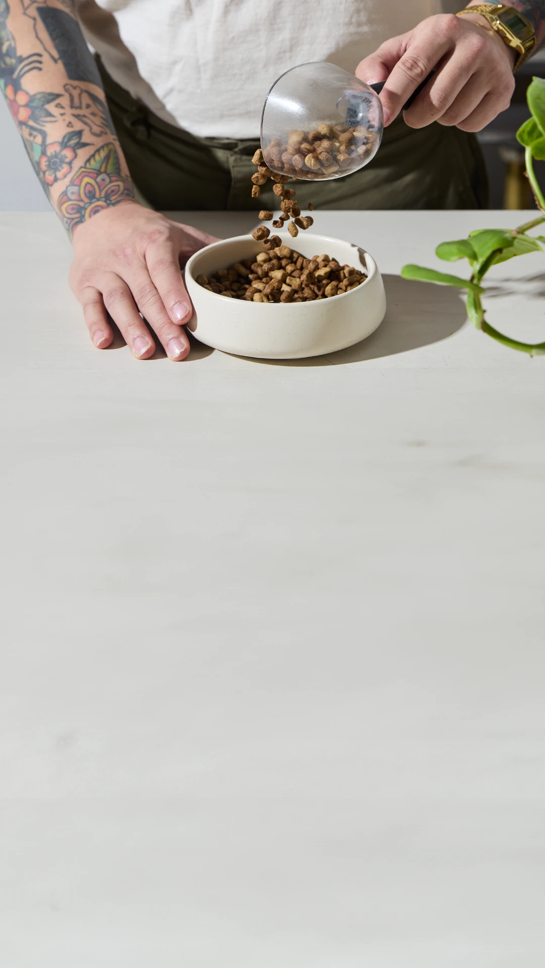 Hero Background Mobile