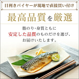 最大9,980円→4,990円】北欧産〈無塩〉訳あり 骨取り さば（選べる1kg・2kg）｜骨なし 骨抜き 鯖 天然 ノルウェー産 イギリス産 冷凍 ストック 業務用 食品 離乳食 お弁当 プロテイン DHA EPA 一部地域除き 送料無料