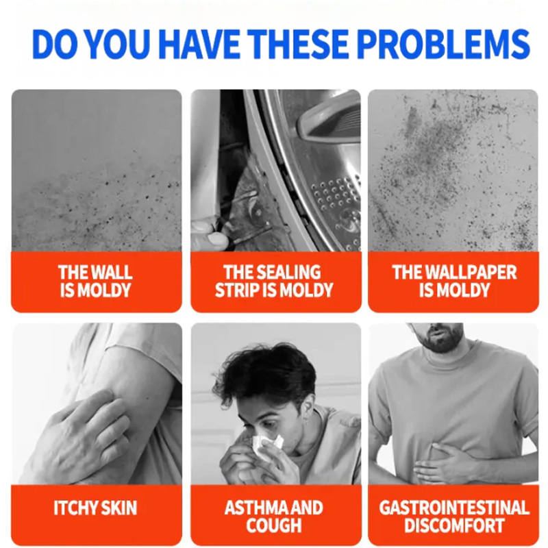 Mold and Mildew Problem Areas