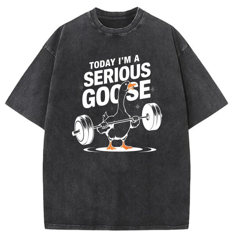 Clottya Unisex Washable T-shirt Today I'm A Serious Goose