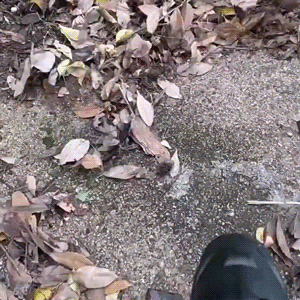 Multi-function demo 1