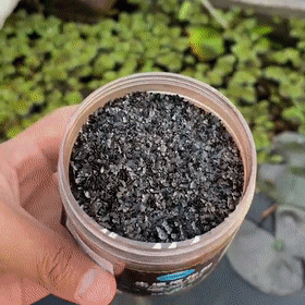 Soil Activator – Boost Plant Growth
