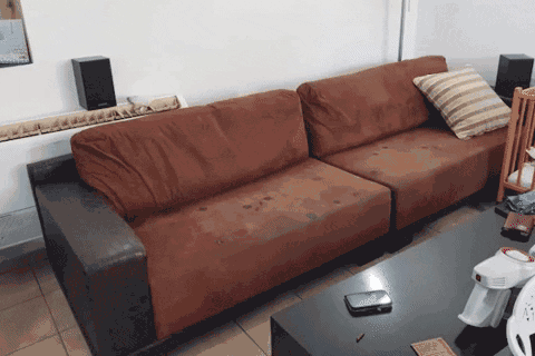 Stretchable sofa cover showcase