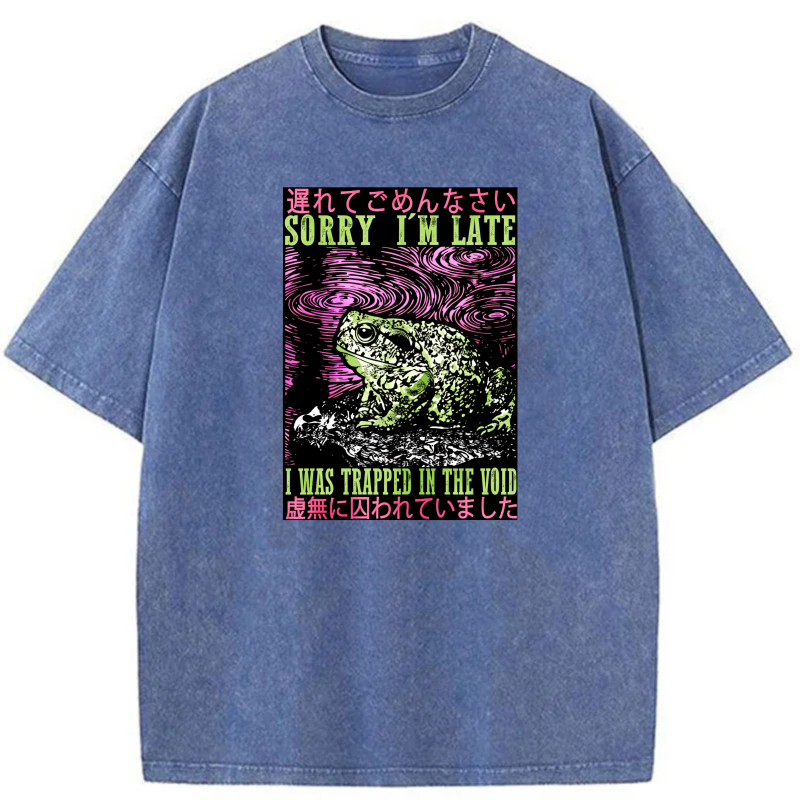 Frog In Void With Japanese Text And Swirls tshirt 100% cotton