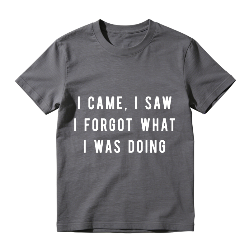 I Came I Saw I Forgot What I Was Doing Unisex Classic T-shirt