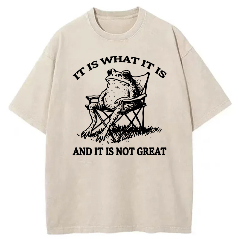 It Is What It Is And It Is Not Great tshirt 100% cotton