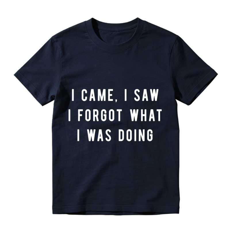I Came I Saw I Forgot What I Was Doing Unisex Classic T-shirt