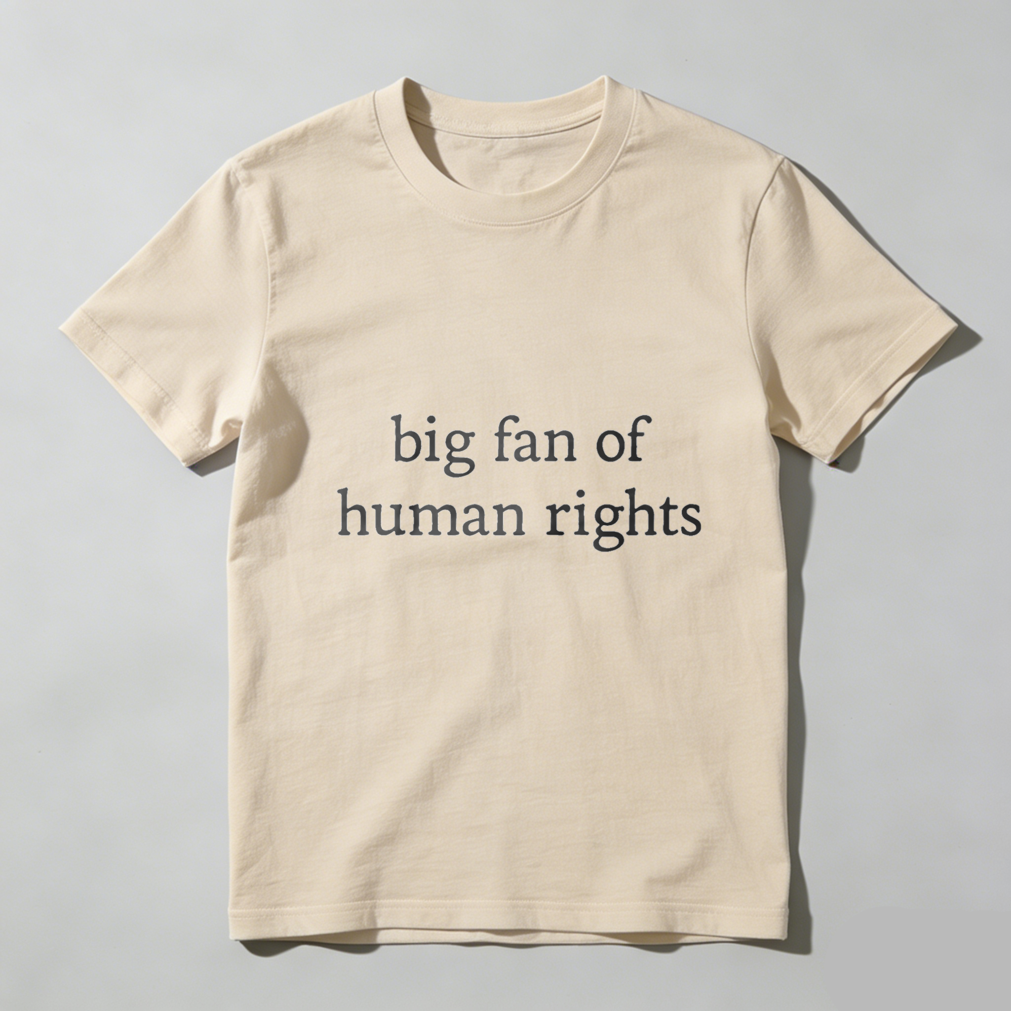 TEECURENTBig Fan Of Human Rights T Shirt For Men And Women Casual Crewneck Graphic Tee With Social Justice Message-TeeCurent