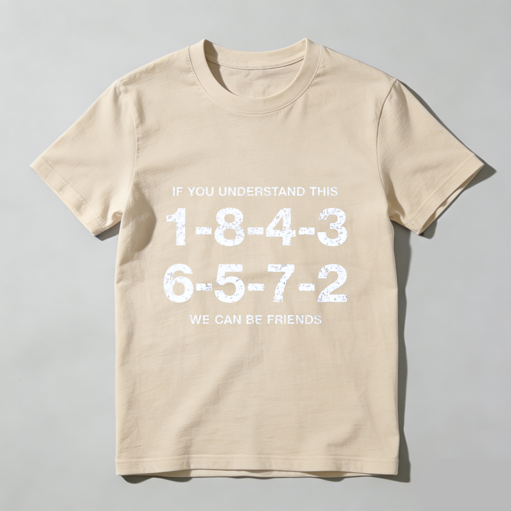 If You Understand This 1 8 4 3 6 5 7 2 We Can Be Friends T Shirt