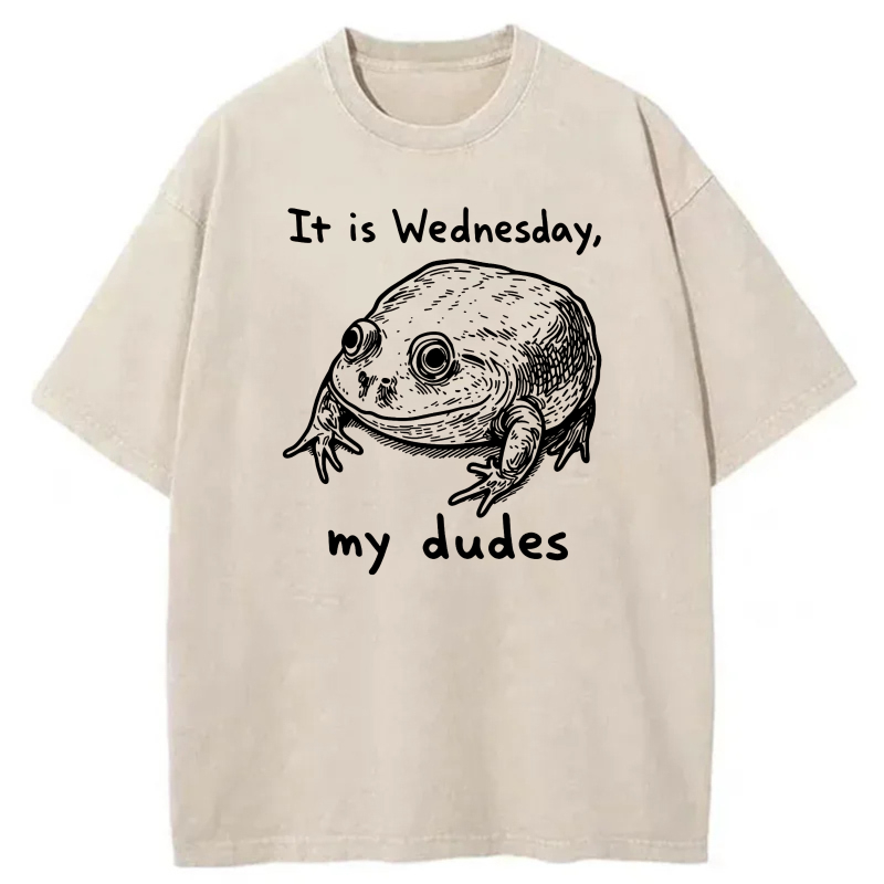 It Is Wednesday My Dudes Frog tshirt 100% cotton