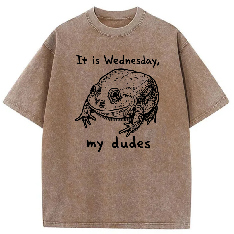 It Is Wednesday My Dudes Frog tshirt 100% cotton