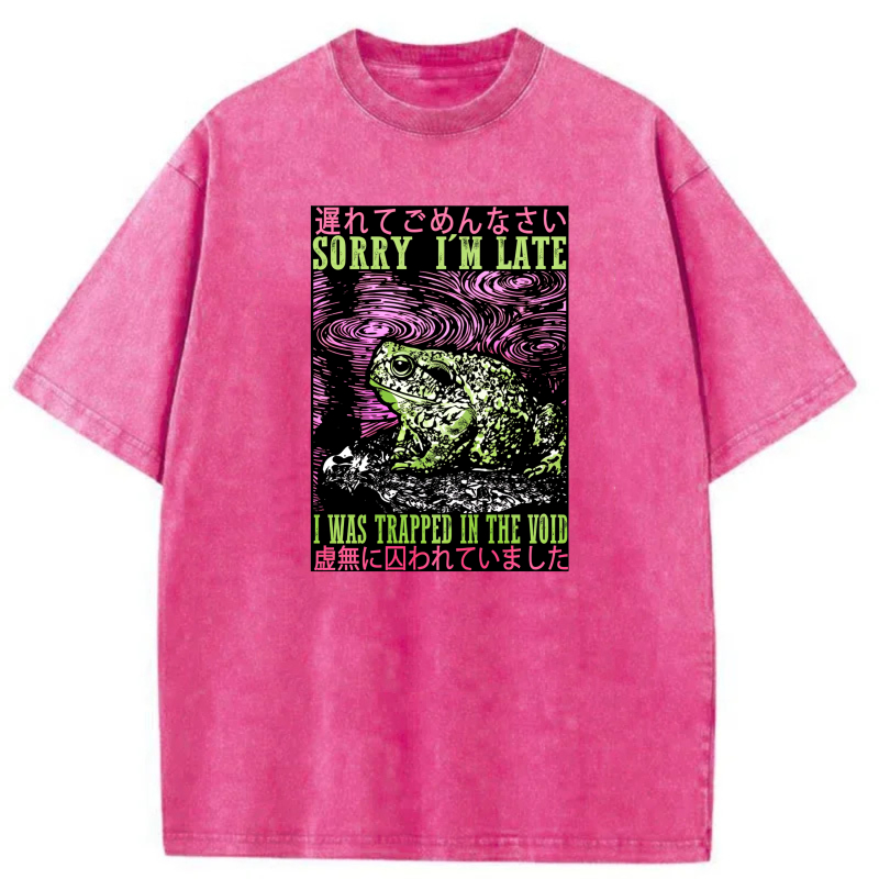 Frog In Void With Japanese Text And Swirls tshirt 100% cotton