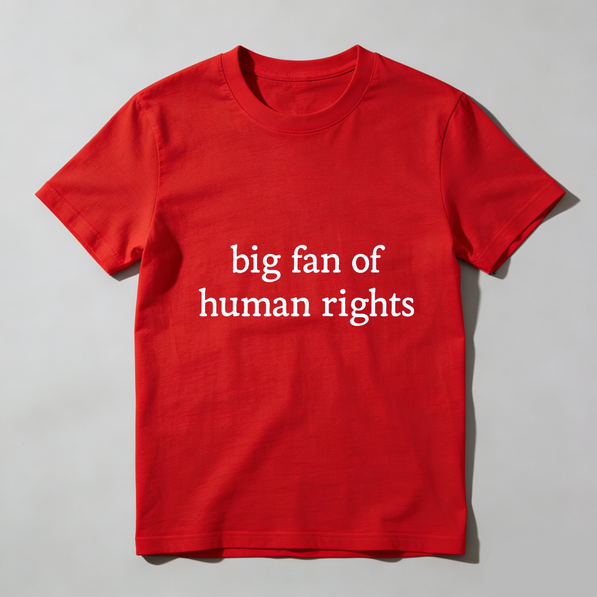 TEECURENTBig Fan Of Human Rights T Shirt For Men And Women Casual Crewneck Graphic Tee With Social Justice Message-TeeCurent