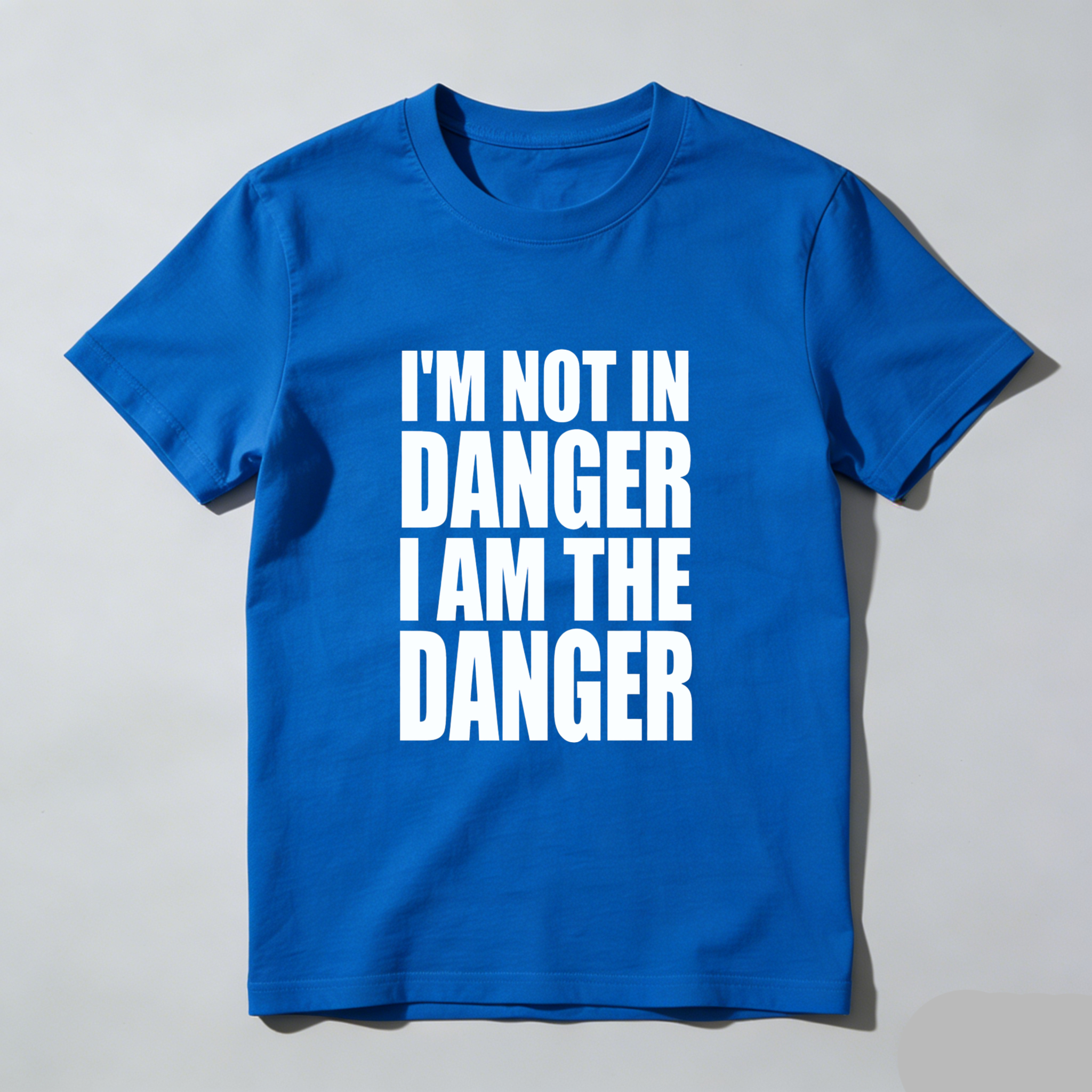 TEECURENT I M Not In Danger I Am The Danger T Shirt WOMEN