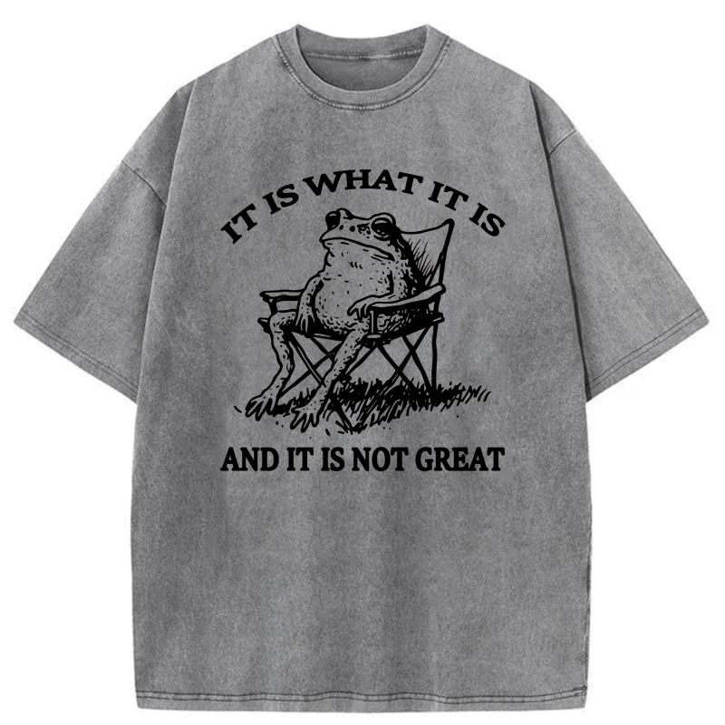 It Is What It Is And It Is Not Great tshirt 100% cotton