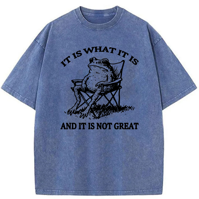 It Is What It Is And It Is Not Great tshirt 100% cotton