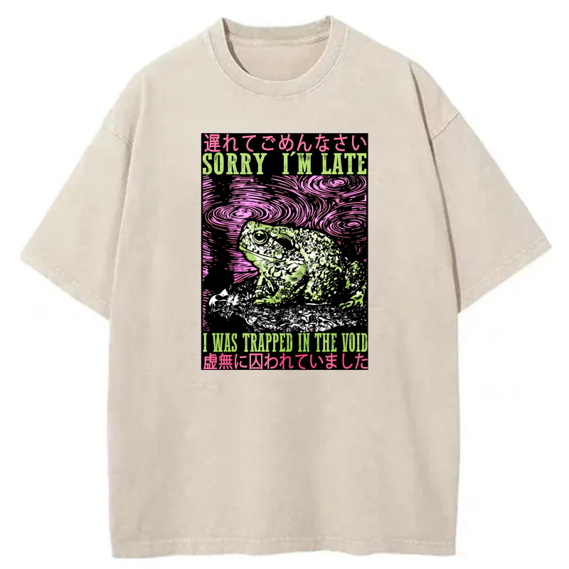 Frog In Void With Japanese Text And Swirls tshirt 100% cotton