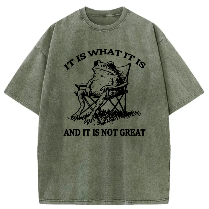 It Is What It Is And It Is Not Great tshirt 100% cotton
