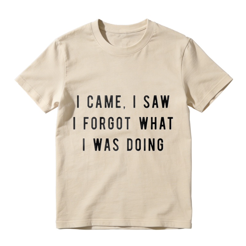 I Came I Saw I Forgot What I Was Doing Unisex Classic T-shirt