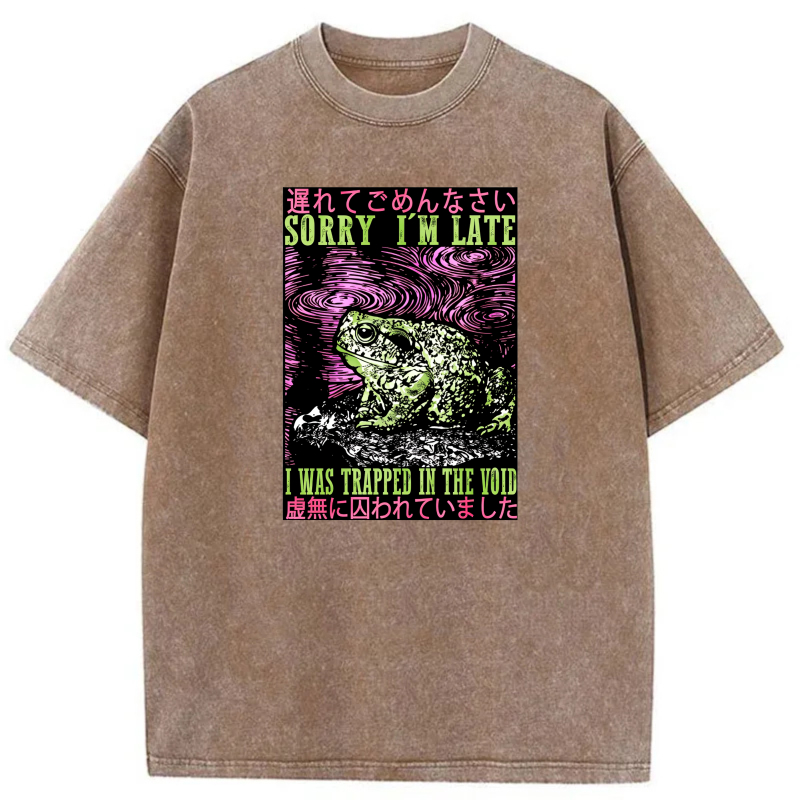Frog In Void With Japanese Text And Swirls tshirt 100% cotton