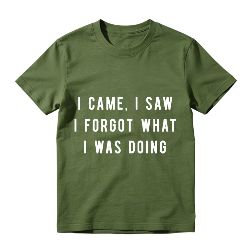 I Came I Saw I Forgot What I Was Doing Unisex Classic T-shirt