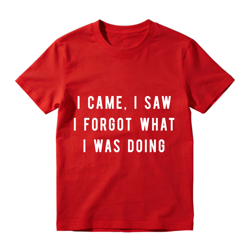 I Came I Saw I Forgot What I Was Doing Unisex Classic T-shirt