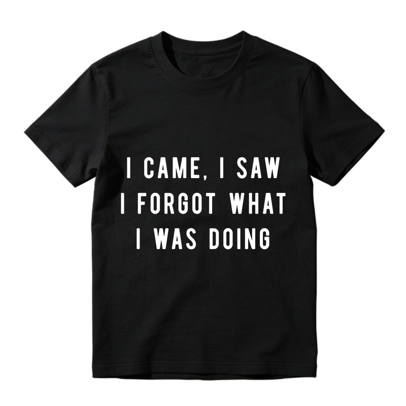 I Came I Saw I Forgot What I Was Doing Unisex Classic T-shirt