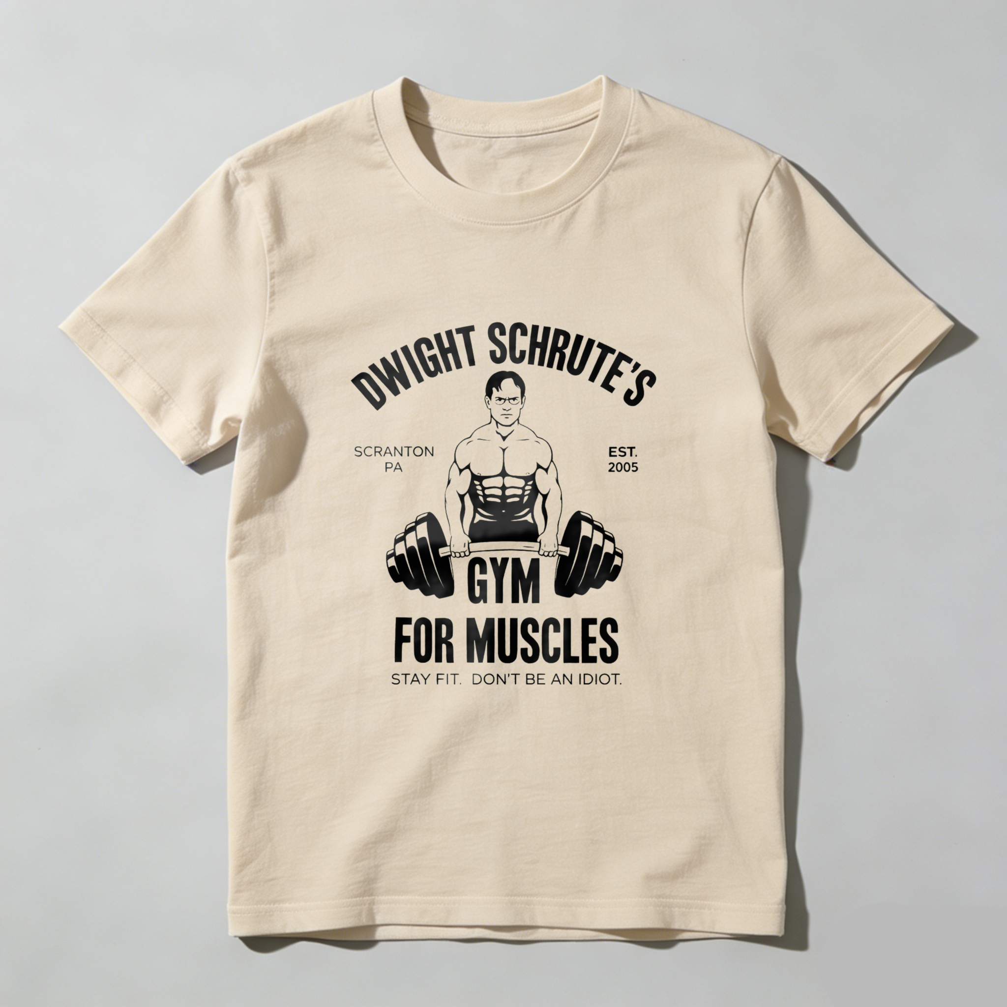TEECURENT Dwight Schrutes Gym For Muscles T Shirt Scranton Pa Est 2005 Stay Fit Dont Be An Idiot Workout Tee