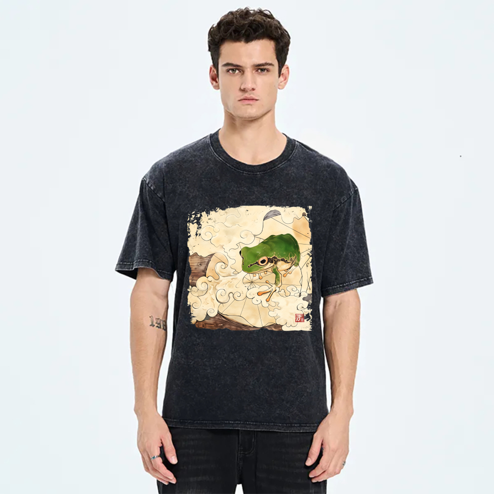 Frog On Clouds With Traditional Art Style tshirt 100% cotton