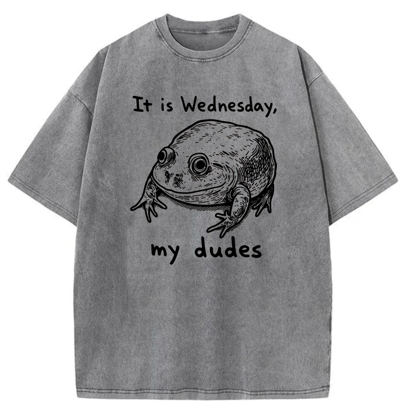 It Is Wednesday My Dudes Frog tshirt 100% cotton