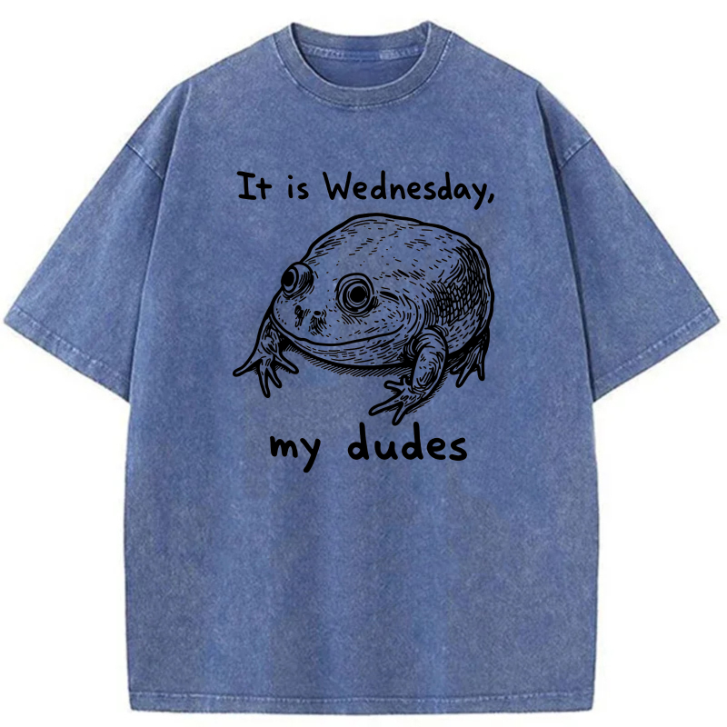 It Is Wednesday My Dudes Frog tshirt 100% cotton